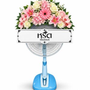 BoonMa-Fan-Pink-003